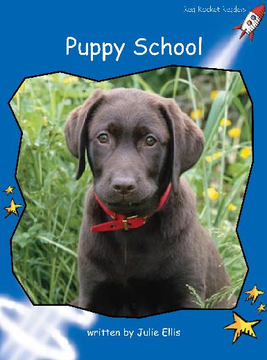 melissa and doug puppy school