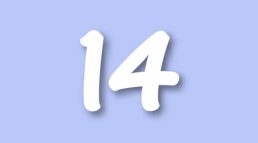 RR Level 14