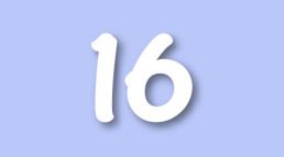 RR Level 16