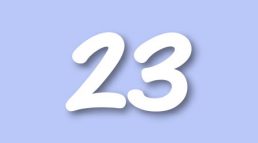 RR Level 23
