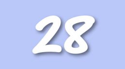 RR Level 28
