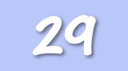 RR Level 29