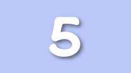 RR Level 5