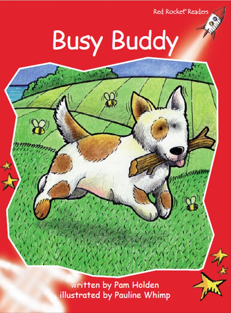 Busy Buddy Flying Start Books