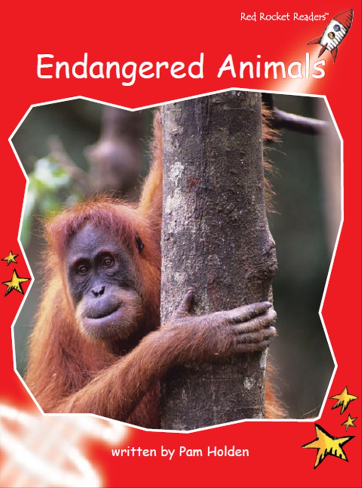 BIG　Endangered　Edition　Animals　BOOK