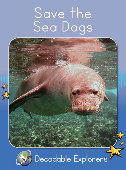 SaveTheSeaDogs